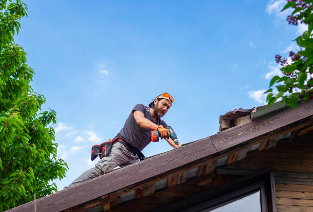 Best Gutter Installation and Repair  in Brookings, SD