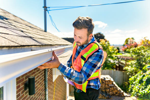 Best Asphalt Shingle Roofing  in Brookings, SD