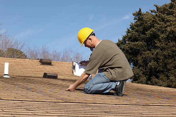 Best Siding  in Brookings, SD